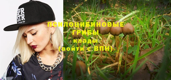 ALPHA PVP Киреевск