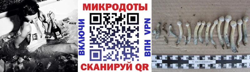 Купить закладки  Ханты-Мансийск  Галлюциногенные грибы мухоморы 